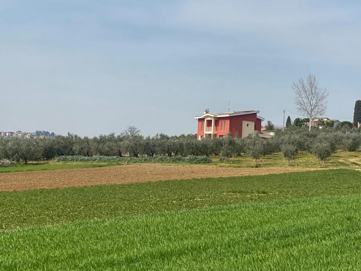 Olea B&B Montecosaro  Luaran gambar
