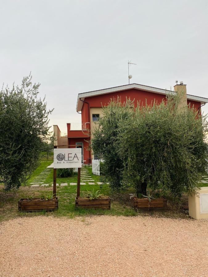 Olea B&B Montecosaro  Luaran gambar